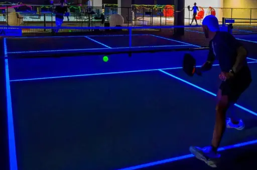 PickleBall (Neon Lights)